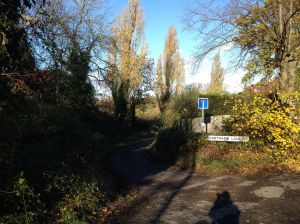 IMG_1965greenbeltonleft