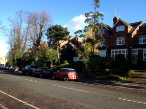 IMG_1967hadleywoodhousesoverlookinggreenbelt