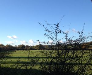 IMG_1976greenbeltlandathadleywood