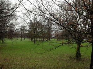 IMG_2216breenbeltbexley