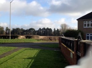 IMG_2403edgeoftownviewofgreenbelt